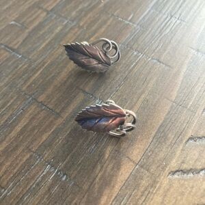 Elegant Leaf Design Earrings